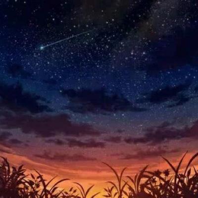 守护家园bt版下载